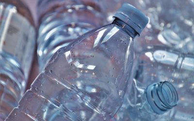 La distribution des bouteilles en plastique interdite dans les entreprises à partir de 2022