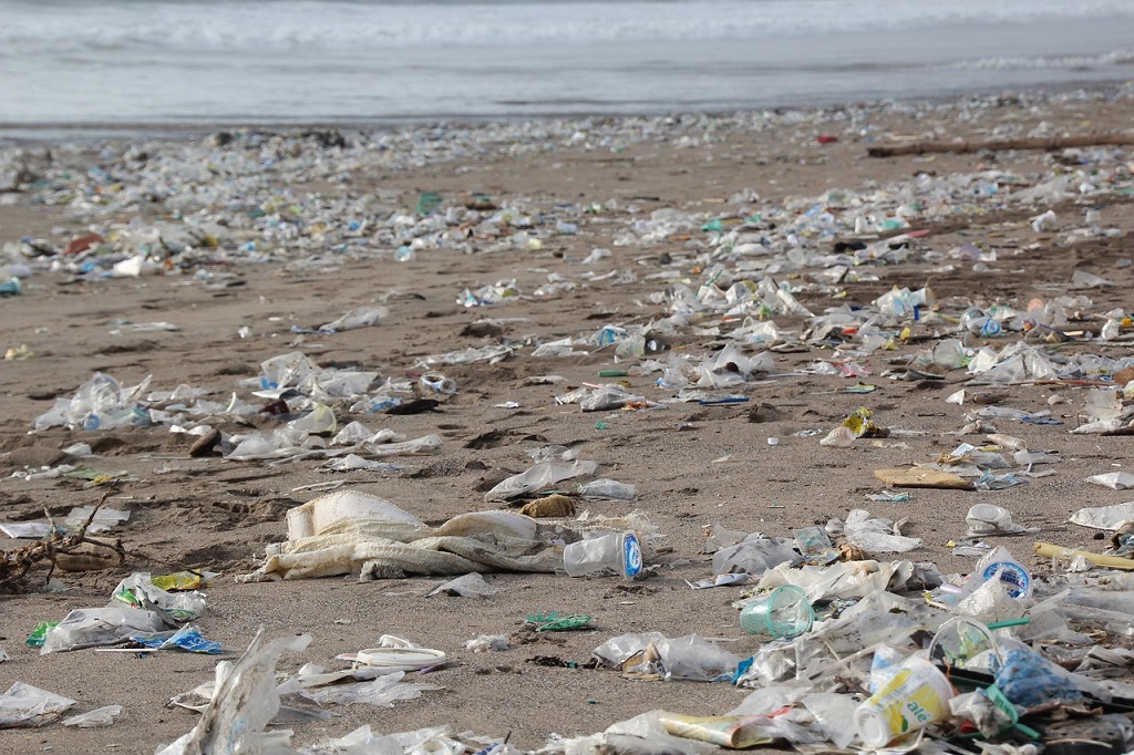 La lutte contre les plastiques à usage unique est entamée par Nicolas Hulot